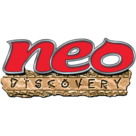 Pokémon TCG: Neo Discovery Enkeltkort