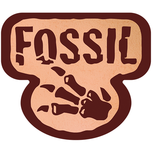 Pokémon TCG: Fossil - Singles