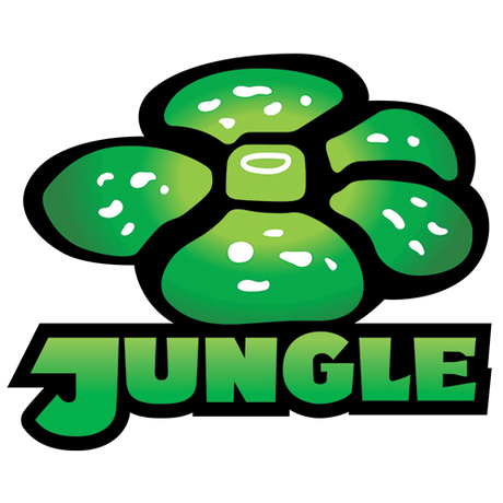 Pokémon TCG: Jungle - Singles