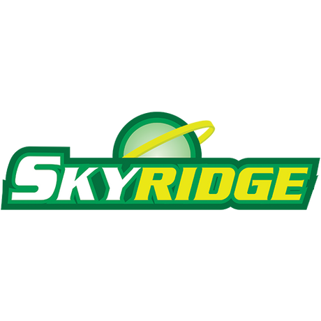 Pokémon TCG: Skyridge Enkeltkort