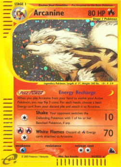 Arcanine⁣ - Skyridge⁣ (Holo Rare)⁣ [H2]