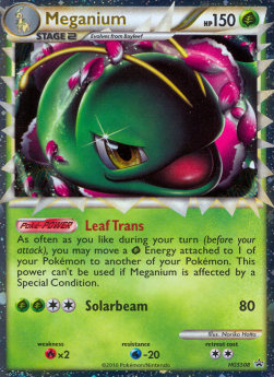 Meganium - HGSS Black Star Promos (Promo) [HGSS-08]