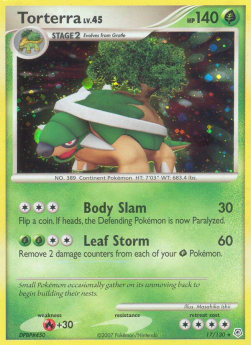 Torterra Lv.45 - Diamond & Pearl (Holo Rare) [DP-17]