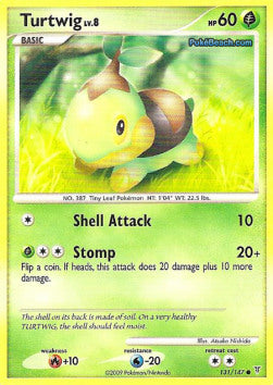 Turtwig Lv.8