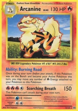 Arcanine⁣ - Evolutions⁣ (Rare)⁣ [18]