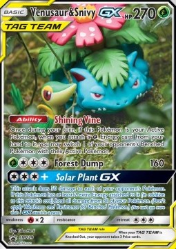 Venusaur & Snivy GX⁣ - SM Black Star Promos⁣ (Promo)⁣ [229]