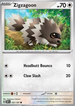 Zigzagoon⁣ - Obsidian Flames⁣ (Common)⁣ [167]