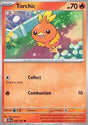 Torchic⁣ - Destined Rivals⁣ (Common)⁣ [040]