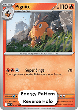 Pignite - Ascended Heroes: Additionals (Uncommon) [xASC-030]