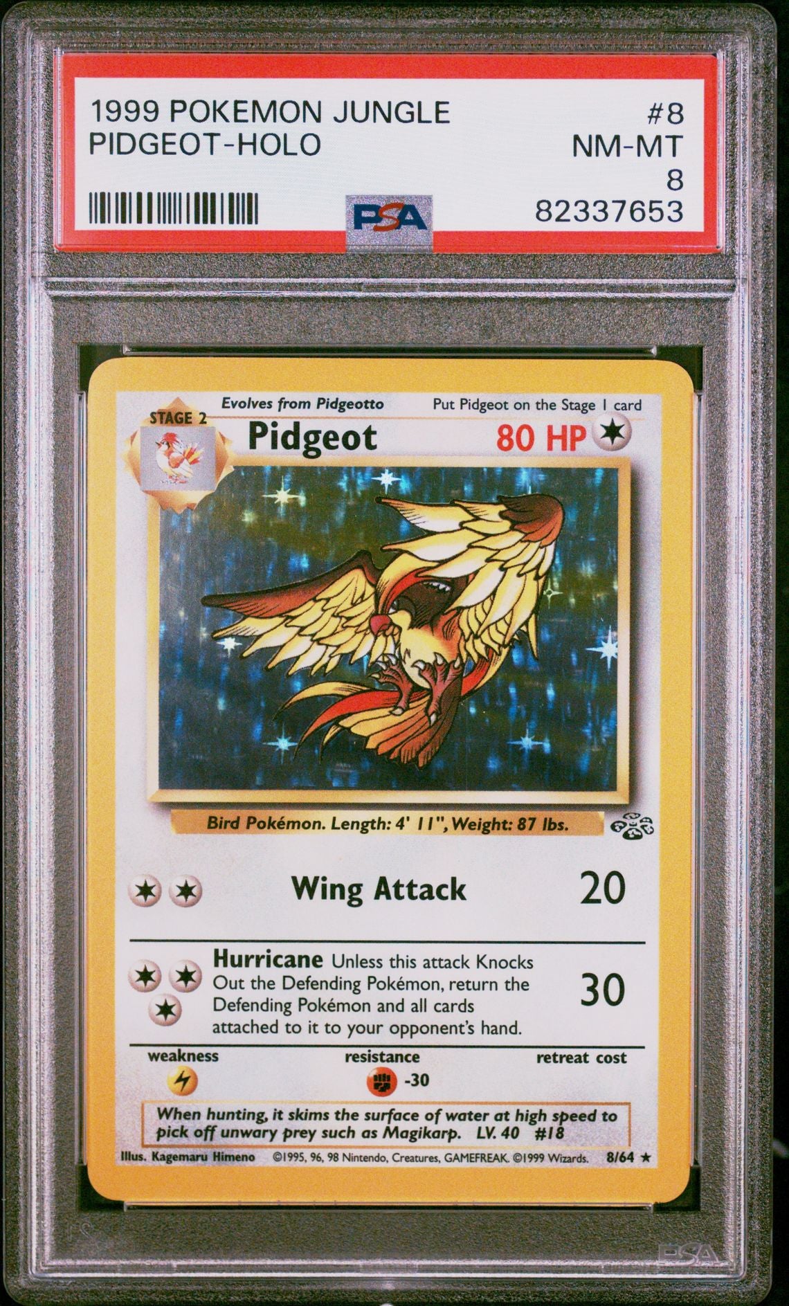 Pidgeot #8 Jungle PSA 8 - forside
