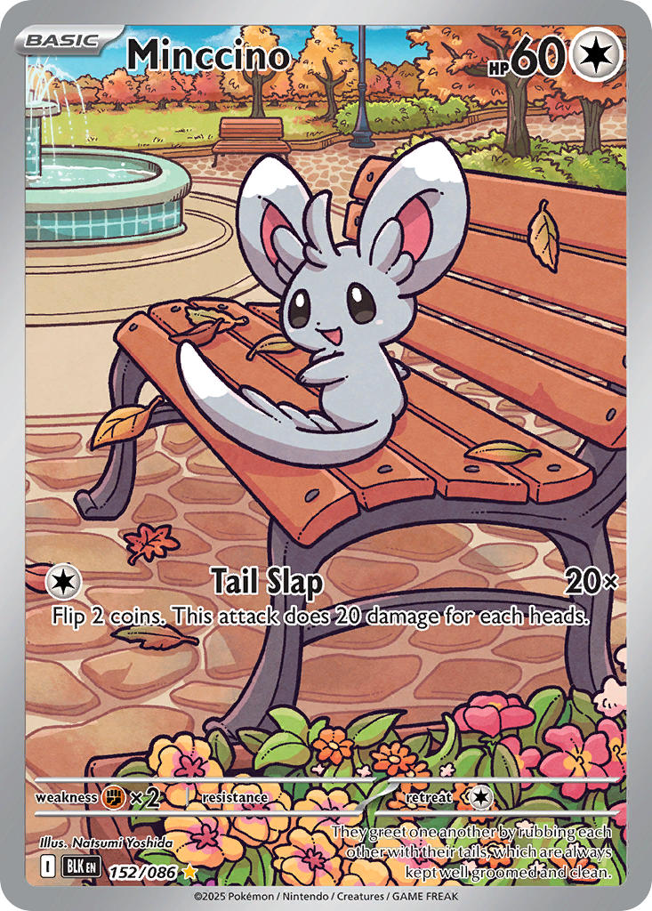 Minccino⁣ - Black Bolt⁣ (Illustration Rare)⁣ [152] English / Near Mint / Normal