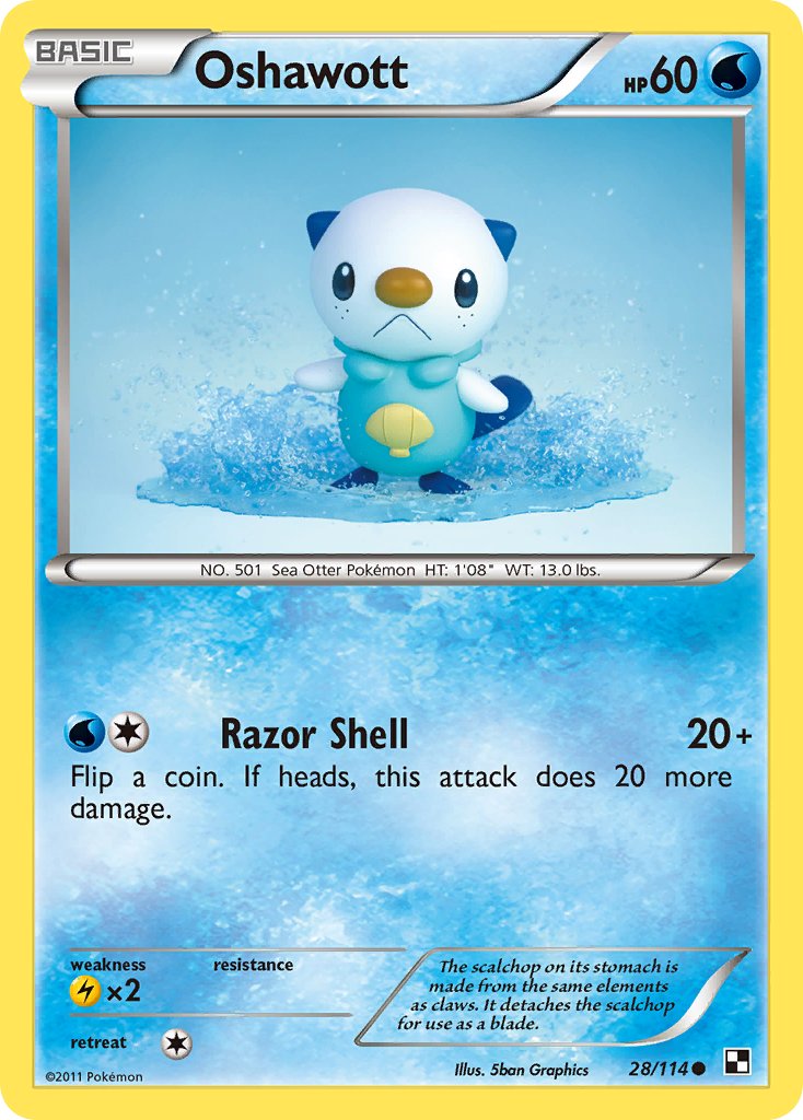 Oshawott - Black & White (Common) [BLW-28] English / Near Mint / Normal