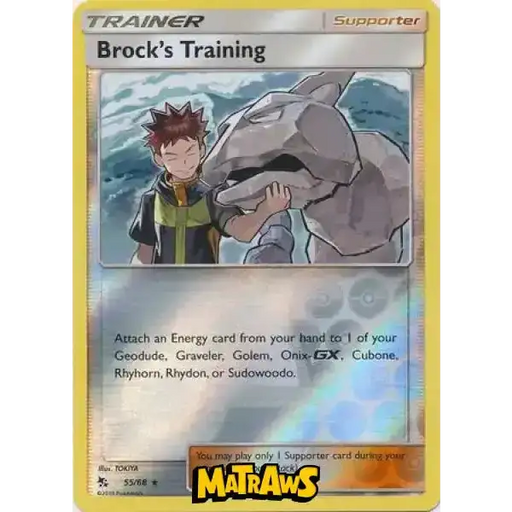 Brock's Training - Reverse - 55/68 Enkeltkort Hidden Fates 