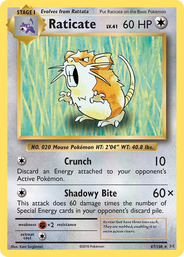 Raticate - Evolutions (Rare) [EVO-67] English / Near Mint / Normal