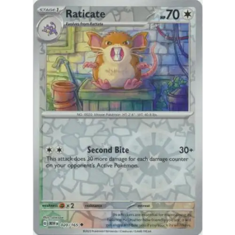 Raticate - Reverse - 020/165 - Enkeltkort