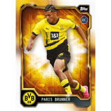 Topps: BVB Dortmund 2023/24 - Fan Set - Samlekort