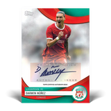 Topps: Fodboldkort - Liverpool 2023/24 - Official Team Set