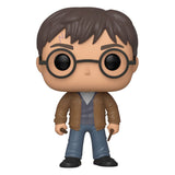 Funko POP! - Harry Potter with 2 Wands (Special Edition) #118
