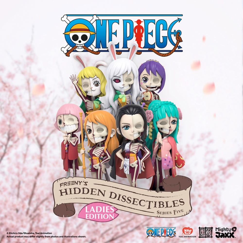 Hidden Dissectibles One Piece Blind Box Series 5 Ladies Edition Figur