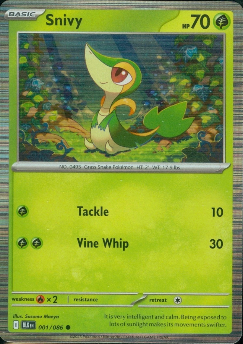 Snivy - Black Bolt: Holo Promo [001] Kortspil