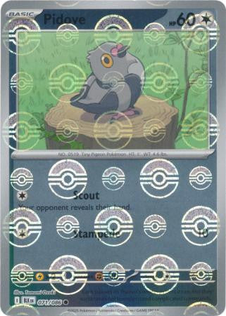 Pidove⁣ - Black Bolt: Poké Ball Foil (Common)⁣ [071] English / Near Mint / Reverse-Holo Normal